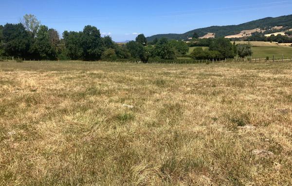 Terrain à Batir de 300 m²