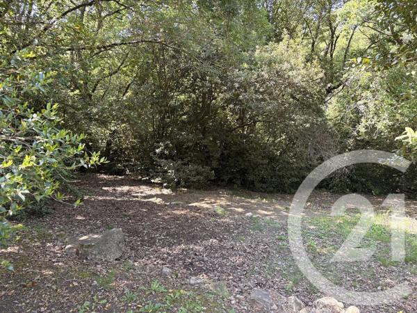Terrain à vendre  2775 m 2   OPIO  - 06