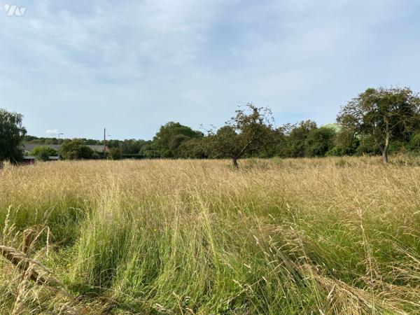 DOUVRES LA DELIVRANDE - TAILLEVILLE