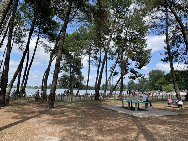 LE BOUSCAT I Elégante Villa de 200 m² offrant de magnifiques volumes I 7 pièces  I Spa et Jacuzzi inclus