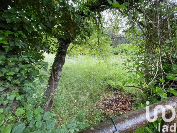 Terrain à vendre 3 313 m² La Ferté-Alais