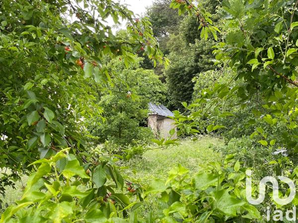 Terrain à vendre 3 313 m² La Ferté-Alais