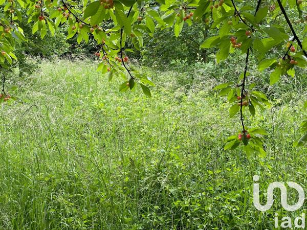 Terrain à vendre 3 313 m² La Ferté-Alais