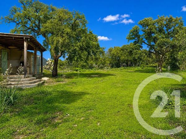 Terrain à vendre  2000 m 2   ZONZA  - 201