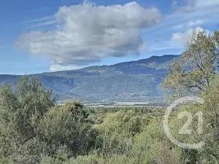 Terrain à vendre  2000 m 2   ZONZA  - 201