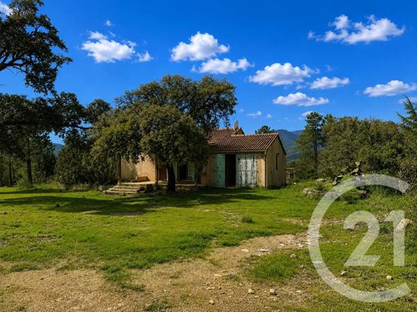 Terrain à vendre  2000 m 2   ZONZA  - 201