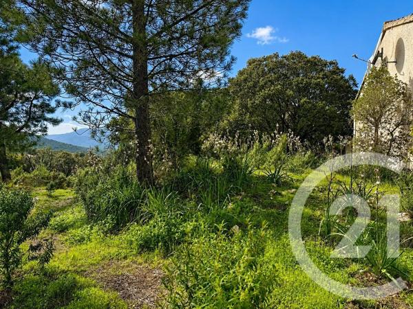Terrain à vendre  2000 m 2   ZONZA  - 201