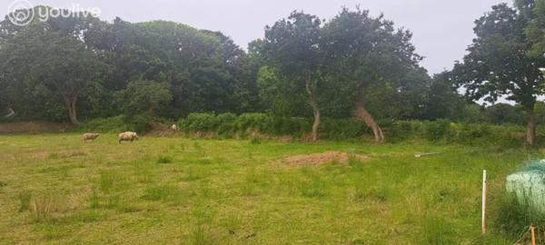 Terrain constructible au Conquet