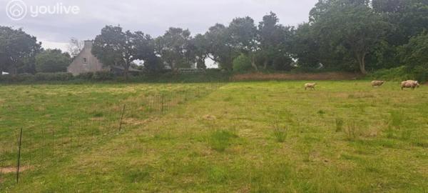 Terrain constructible au Conquet