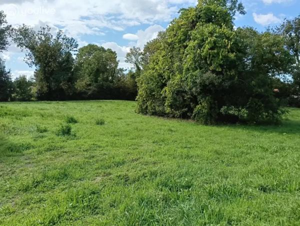 Terrain constructible à La Barre-de-Monts
