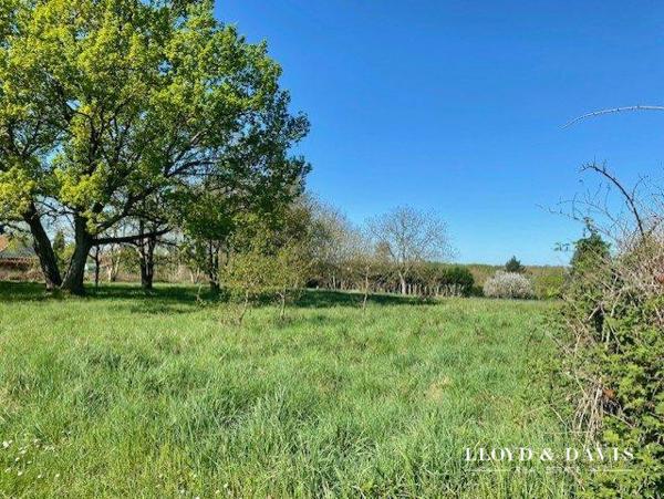 vente terrain : viabilié et constructible