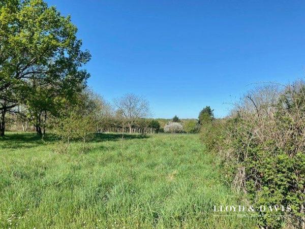 vente terrain : viabilié et constructible