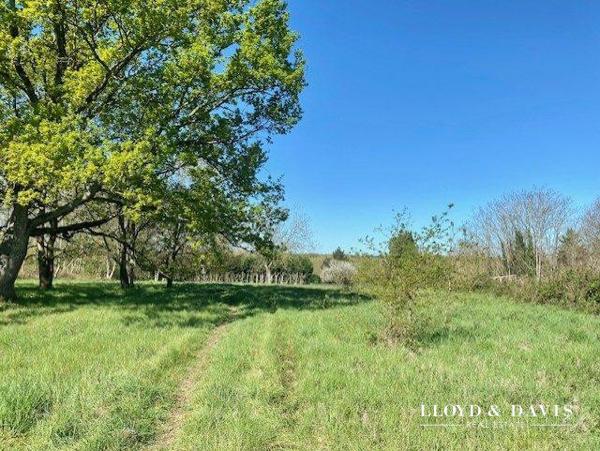 vente terrain : viabilié et constructible