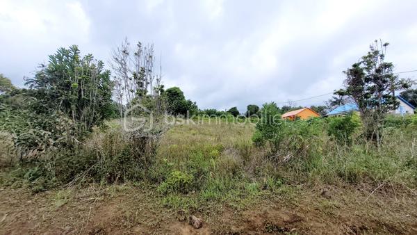 Vente d'une parcelle d'environ 11 324 m², dont 1 950 m² sont déclassés en zone 1 AU5. Compte tenu d'une servitude existante, la surface constructible est d'environ 1 850 m².

Profitez d'une baisse de prix exceptionnelle sur ce terrain constructible de 1 850 m² situé aux Lianes, dans les hauts de Saint-Joseph. Une opportunité rare sur le marché réunionnais, à saisir rapidement !

CARACTÉRISTIQUES DU TERRAIN

Surface : 11 324 m²
Surface constructible : 1 850 m²
Zonage : 1AU5 (zone ouverte à l'urbanisation)
Nombre de logements possibles : jusqu'à 7 logements
Profil recherché : promoteur, investisseur ou porteur de projet

POTENTIEL DE CONSTRUCTION

Ce terrain en zone 1AU5 est classé en secteur prioritaire pour l'urbanisation. Il offre la possibilité de développer jusqu'à 7 logements, que ce soit sous forme de lotissement résidentiel ou de résidences individuelles groupées. Un rendement attractif pour tout investisseur souhaitant optimiser son projet dans un secteur en plein développement.

ENVIRONNEMENT ET LOCALISATION

Situé dans un cadre verdoyant et calme des Hauts de Saint-Joseph, ce terrain bénéficie d'une bonne accessibilité aux axes routiers et de la proximité des commodités du quotidien : écoles, commerces et services. Un environnement prisé, alliant qualité de vie et potentiel de valorisation.

POURQUOI SAISIR CETTE OPPORTUNITÉ MAINTENANT ?

Les terrains constructibles de cette superficie sont rares à La Réunion. Avec cette baisse de prix, ce bien représente une occasion unique d'investir dans un secteur stratégique à des conditions avantageuses.
Localisation précise et documents disponibles sur demande.

Contactez Éloïse Casotto, Conseillère BSK Immobilier, au 06 92 08 16 38 pour toute information ou pour organiser une visite.
