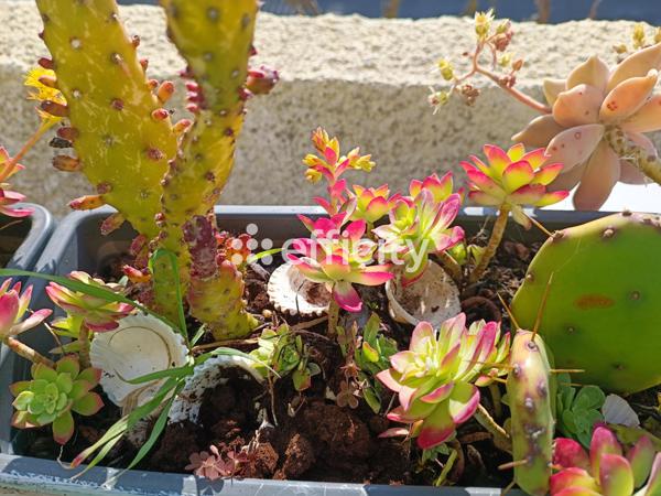 Appartement 2 pièces - 23 m²