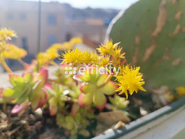 Appartement 2 pièces - 23 m²