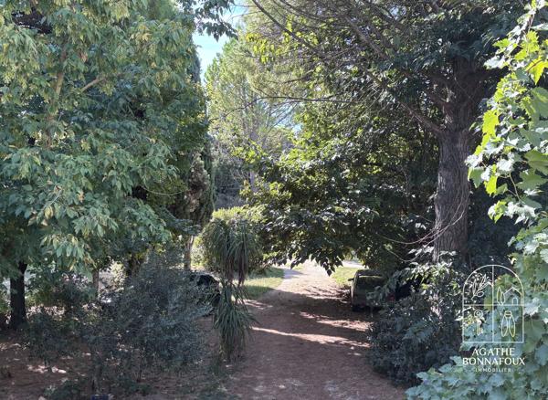Maison provençale 226 m2 à rénover sur 5000 m2 de terrain