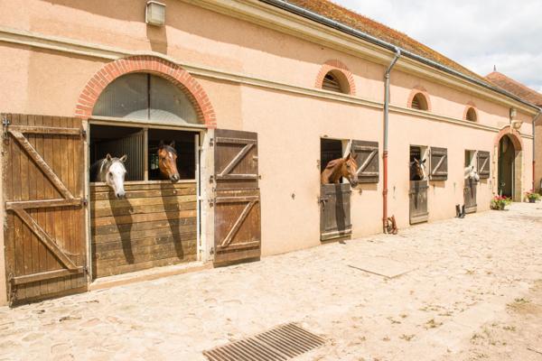 Château, installation équestre (haras) à vendre au coeur du bocage bourbonnais - Maison de gardien, club house, maison des cavaliers, boxes, écuries - Terrain de 40 hectares