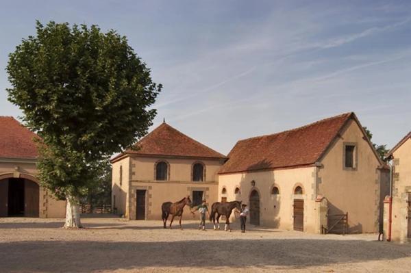 Château, installation équestre (haras) à vendre au coeur du bocage bourbonnais - Maison de gardien, club house, maison des cavaliers, boxes, écuries - Terrain de 40 hectares