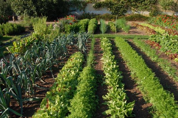 Château, installation équestre (haras) à vendre au coeur du bocage bourbonnais - Maison de gardien, club house, maison des cavaliers, boxes, écuries - Terrain de 40 hectares