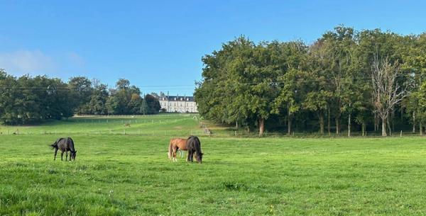 Château, installation équestre (haras) à vendre au coeur du bocage bourbonnais - Maison de gardien, club house, maison des cavaliers, boxes, écuries - Terrain de 40 hectares