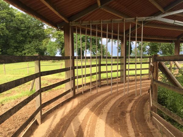 Château, installation équestre (haras) à vendre au coeur du bocage bourbonnais - Maison de gardien, club house, maison des cavaliers, boxes, écuries - Terrain de 40 hectares