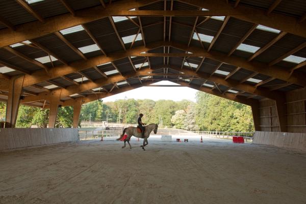 Château, installation équestre (haras) à vendre au coeur du bocage bourbonnais - Maison de gardien, club house, maison des cavaliers, boxes, écuries - Terrain de 40 hectares