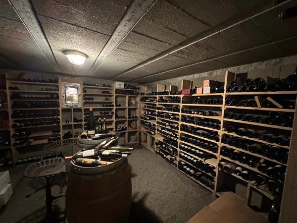 Château, installation équestre (haras) à vendre au coeur du bocage bourbonnais - Maison de gardien, club house, maison des cavaliers, boxes, écuries - Terrain de 40 hectares