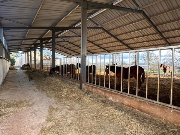 Château, installation équestre (haras) à vendre au coeur du bocage bourbonnais - Maison de gardien, club house, maison des cavaliers, boxes, écuries - Terrain de 40 hectares