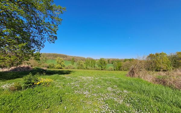 Maison à vendre    10 pièces •  Eymet