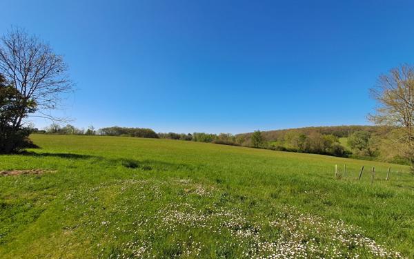 Maison à vendre    10 pièces •  Eymet