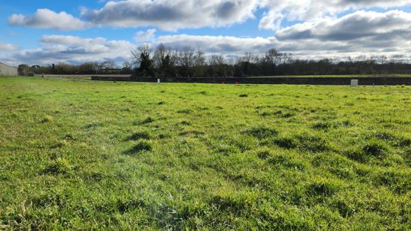 Terrain viabilisé de 946 m² à vendre à Maillé