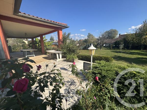 Maison à vendre  6 pièces - 147,29 m2 ALBI - 81
