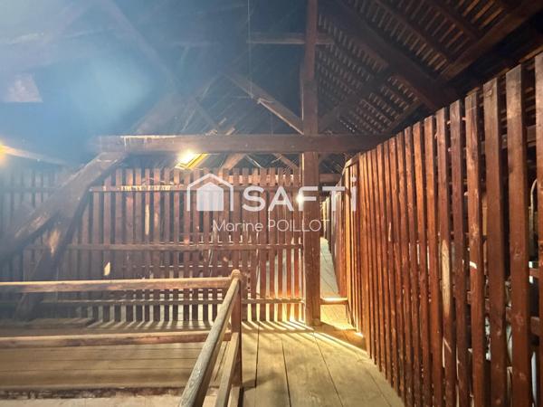APPARTEMENT 4 PIECES QUARTIER WILSON