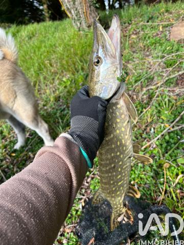 Terrain à vendre 21 918 m² Noyen-sur-Sarthe
