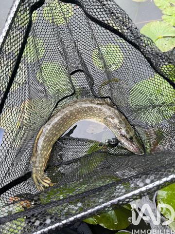 Terrain à vendre 21 918 m² Noyen-sur-Sarthe