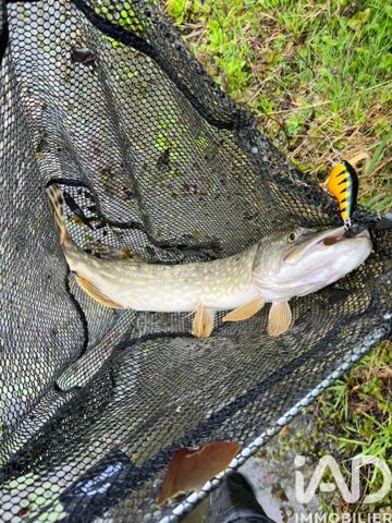 Terrain à vendre 21 918 m² Noyen-sur-Sarthe