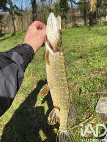 Terrain à vendre 21 918 m² Noyen-sur-Sarthe