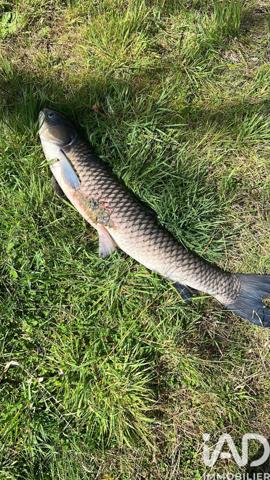 Terrain à vendre 21 918 m² Noyen-sur-Sarthe