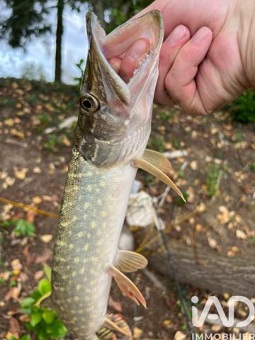 Terrain à vendre 21 918 m² Noyen-sur-Sarthe