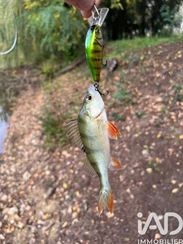 Terrain à vendre 21 918 m² Noyen-sur-Sarthe
