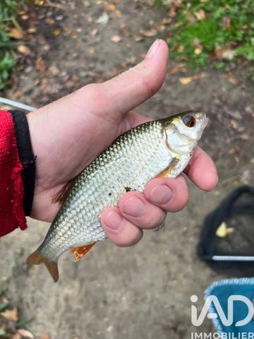 Terrain à vendre 21 918 m² Noyen-sur-Sarthe