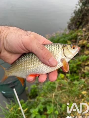 Terrain à vendre 21 918 m² Noyen-sur-Sarthe