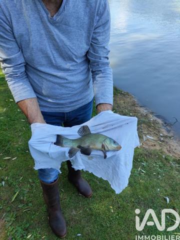 Terrain à vendre 21 918 m² Noyen-sur-Sarthe