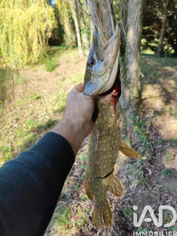 Terrain à vendre 21 918 m² Noyen-sur-Sarthe