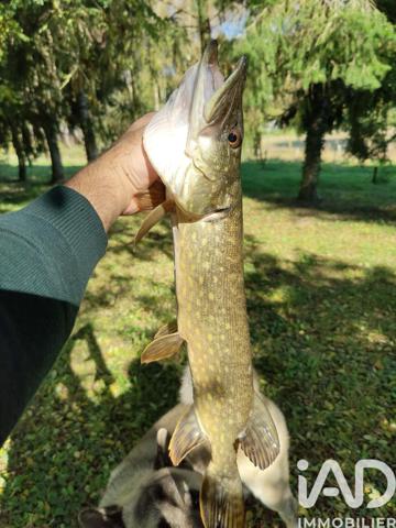 Terrain à vendre 21 918 m² Noyen-sur-Sarthe