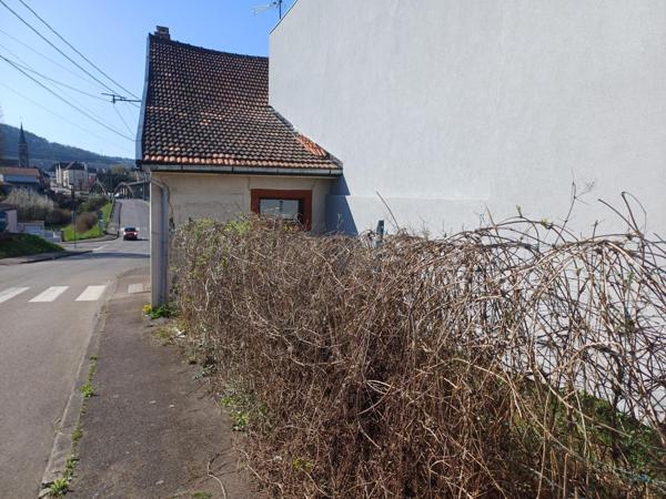 SPECIAL INVESTISSEUR!!!