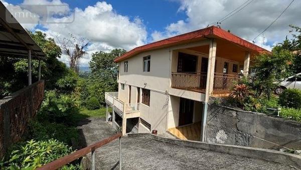 Immeuble à vendre à Le Lamentin en Martinique (97232), ref : 97228-06   
Roches carrees