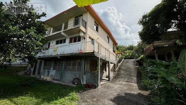 Immeuble à vendre à Le Lamentin en Martinique (97232), ref : 97228-06   
Roches carrees