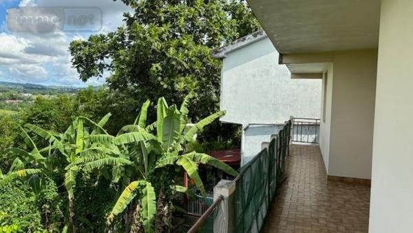 Immeuble à vendre à Le Lamentin en Martinique (97232), ref : 97228-06   
Roches carrees